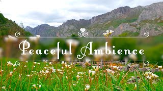 🌿🌞Begin Your Day With The Positive Energy Of Healing Nature Sounds🌿Fresh Morning Mountain Ambience#1