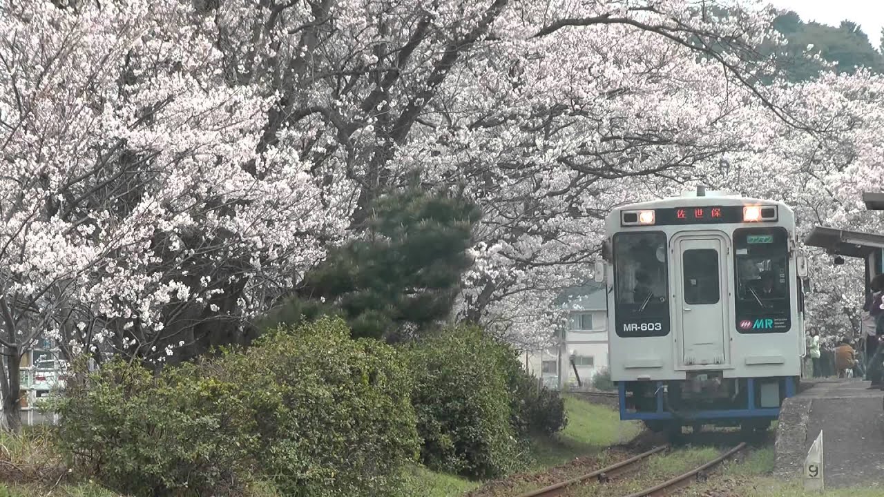 松浦鉄道 西九州線 浦ノ崎駅の桜トンネル Youtube