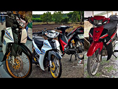 Video #Tiktok Sirius Dọn Kiểng /#Tổng Hợp Siruis Dọn Kiểng [... - youtube