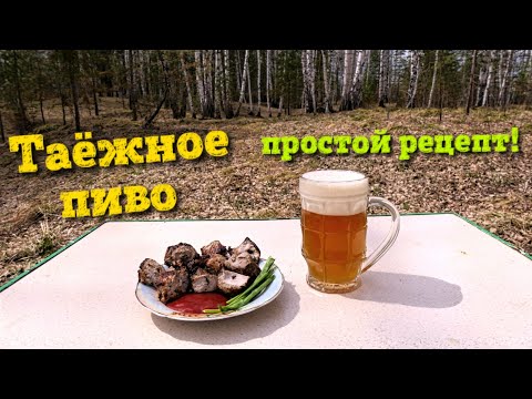 Пиво таежное простой рецепт