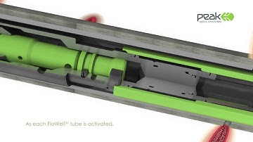 FloWell™ Peak Product Animation - March 2015