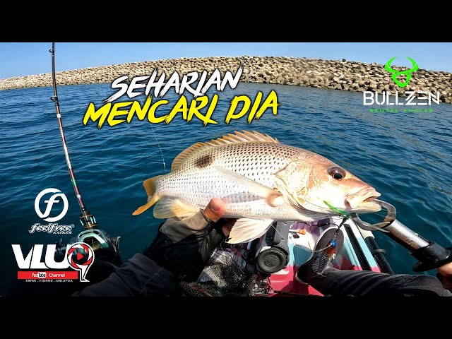 Seharian MENCARI DIA! - #VLUQ466 - Kayak Fishing Malaysia class=