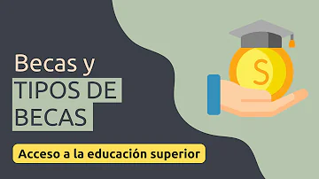 ¿Cuáles son los 2 tipos de becas?