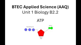 BTEC Applied Science AAQ: Unit 1 Biology: ATP