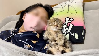 初めての添い寝が心地良すぎて仰向けになって眠ってしまった子猫w