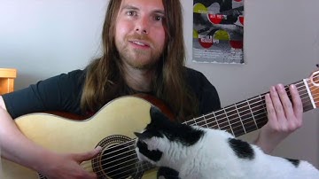 Cat Interrupts Guitar Lesson - 8-String Fingerstyle - Ibanez G208