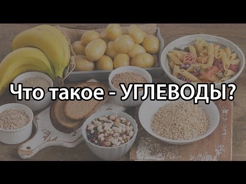 Что такое углеводы (в каких продуктах содержатся углеводы)