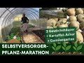 Unser Hof in Schweden: Der Selbstversorger-Garten im Mai / Pflanzmarathon im Gemüsegarten