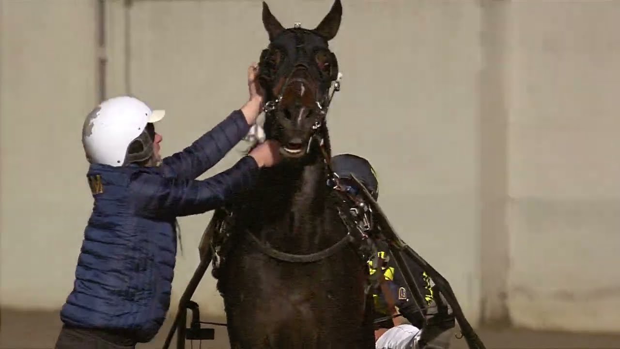 Gran Premio Allevatori - MASAF - 2025 - Maschi