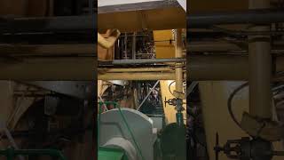 Jeremiah OBrien engine room 3. Original Sound Video #steamengine #steamship #steamlaunch #steamer