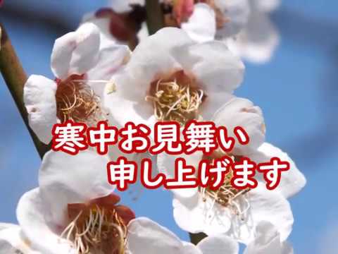 寒中見舞い 節分まで 心届ける花メッセ 文字だけで気持ちを表現するのは大変です 手紙に一輪の花を添えるように 花メッセであなたの言葉に心の花束を添えましょう 共有ボタンから送り先を選択 Youtube