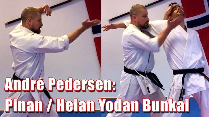 Pinan / Heian Yodan Bunkai with Andr Pedersen.