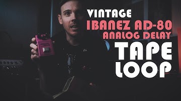 Vintage Ibanez AD-80: TAPE LOOP