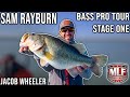 Major League Fishing Stage One - Sam Rayburn (Qualifying Round)