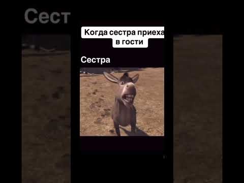 🤣Когда в гости приехала сестра🤣 #ржака #смех #прикол #юмор #рекомендации #смешноевидио