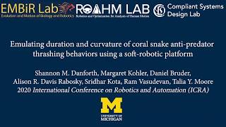 Emulating duration, curvature of coral snake anti-predator behaviors using a soft-robotic platform screenshot 3