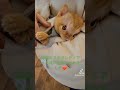 水頭症のともぞう生後3ヶ月