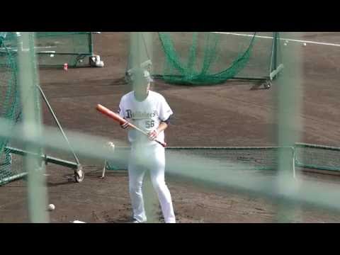 オリックス・バファローズ　武田健吾選手 バント練習(2016年高知秋季キャンプ)