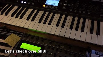 Behringer TD-3 Firmware 1.2.5 Midi Slide