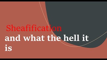 Sheafification and what the hell it is:  Construction and universal property