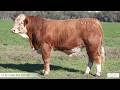 Lot 32 Lucrana Victa V181 (PP)