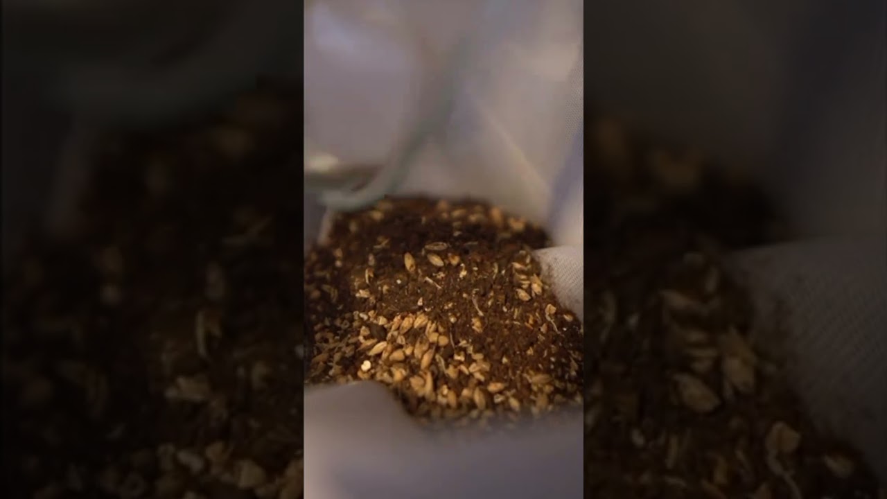 Making an Irish red ale bochet braggot! 