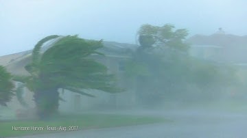 A Hurricane Harvey Story