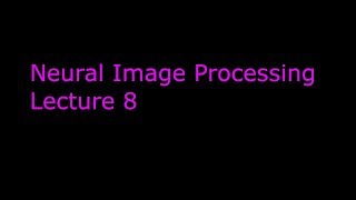 Neural Image Processing: Lecture 8 Net Worth