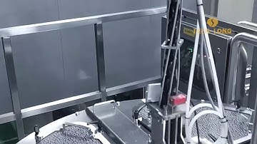 Tech-Long Aseptic Filling Line  Was Officially Put into Production  in Customer’s Site.（Mango Juice)