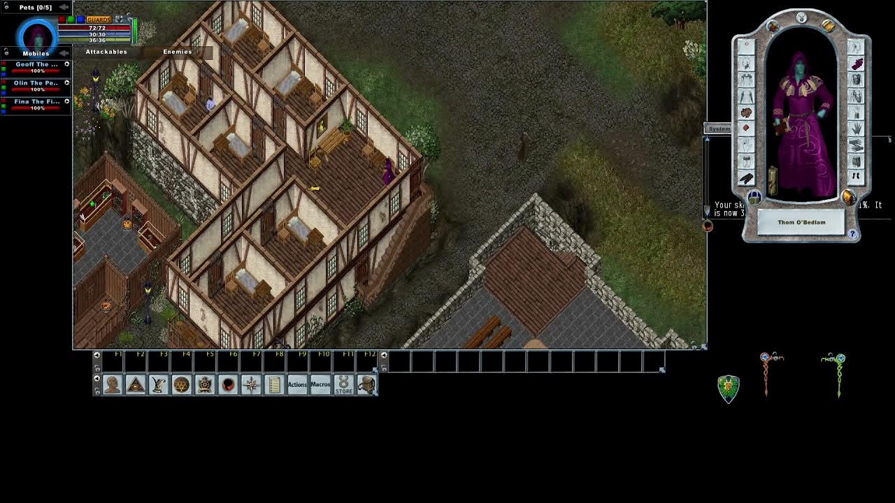 Ultima Online Enhanced Client Mobiles Bar YouTube