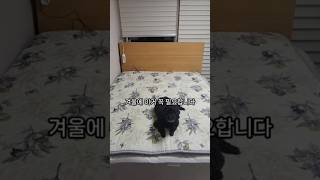 보일러 필요 없는 쿠팡 꿀템 온수매트