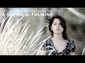 A FORMA DI FULMINE | Vasco Brondi - Le luci della centrale elettrica | TERRA (videoclip ufficiale)