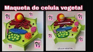 Como hacer maqueta de celula vegetal, sencillo y rápido, DIY.