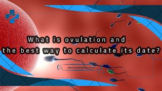 What is ovulation and the best way to calculate its date