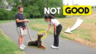 STOP Giving Your Dog Treats If You Want To Train Them...
