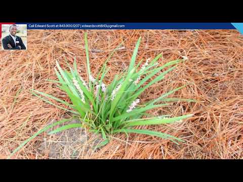 302 Summercourt Drive, Summerville, SC home video tour