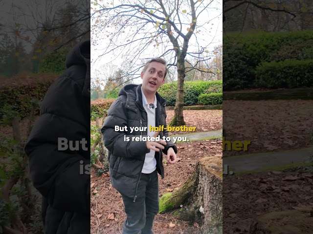 Stepbrother, Half Brother