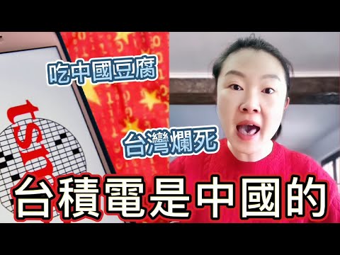 台積電變成中國第一？小粉紅：但台灣很破｜前500強企業，台灣佔了45家，出口前10名，台灣佔6名