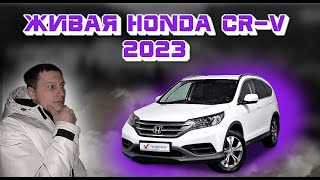 Как мы купили живую Honda CR-V