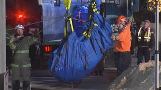 Manatee rescued from storm drain in Florida