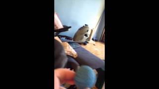 Mouse plays fetch