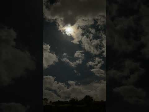 شفتك بي وجه القمر ايمن قصيله شيلة شيلات ترند ترند السعودية اليمن السعودية Video Shorts