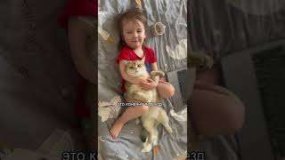 Был у ваших животных переезд? Какие эмоции они испытали? #кот#кошка#котенок#переезд#cat#猫