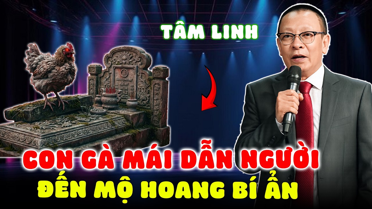 Tâm Sự Cùng Văn Sâm: CON GÀ MÁI DẪN ÔNG LÃO TÌM TỚI MỘ HOANG, TIẾT LỘ 1 SỰ THẬT KINH HÃI