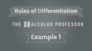 Rules of Differentiation, Example 1 Wealth