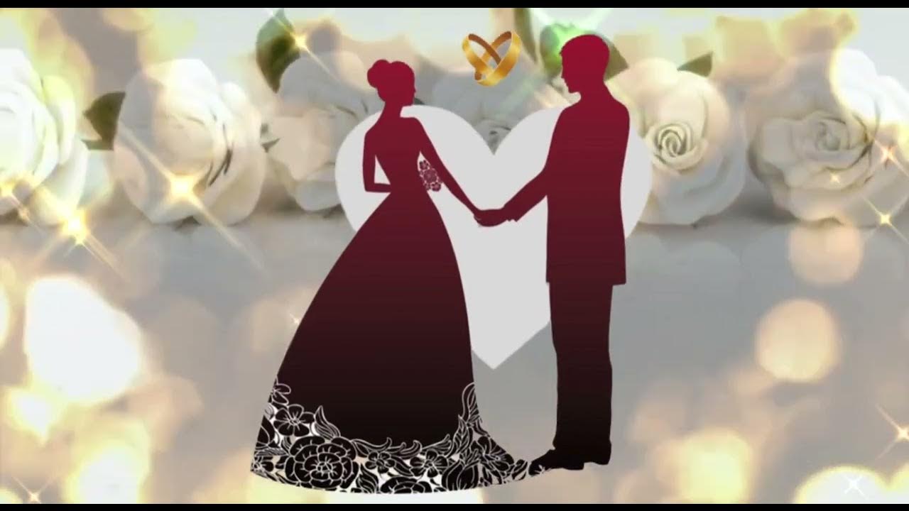 Жыныстық циклдер