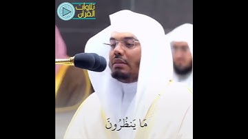 تلاوة تاريخية💨💝 | للشيخ ياسر الدوسري | #تلاوات_القرآن