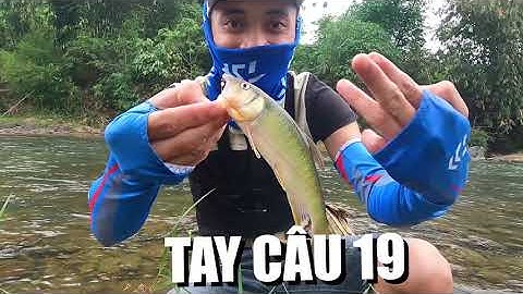 SO SÁNH 2 LOẠI MỒI CÂU CÁ MƯƠNG SUỐI HIỆU QUẢ NHẤT.(thìa mini vs mồi fly)stream fishing bait.