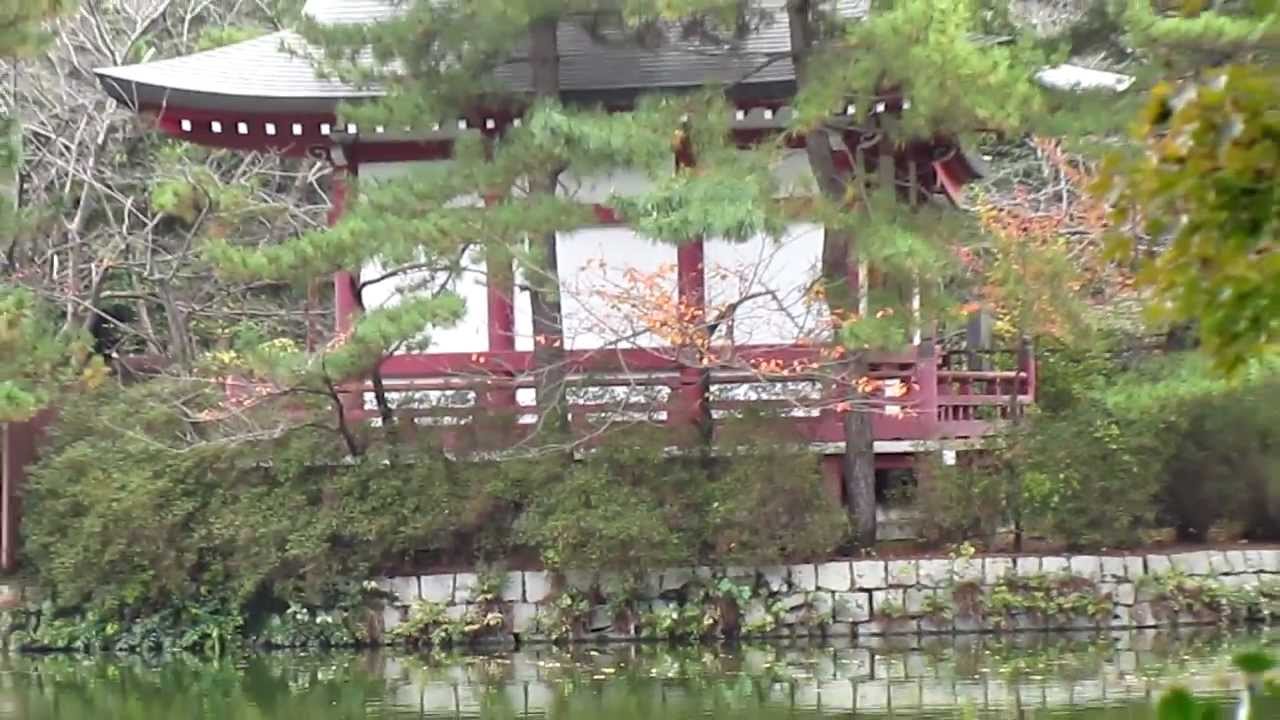 石神井公園三宝寺池 3 Youtube