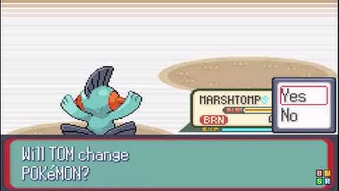 pokemon ruby part 22 4th gym part 2 win